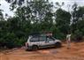 Camnews