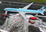 Camnews