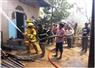 Camnews