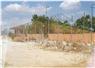 Camnews