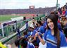 Camnews
