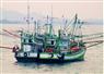 Camnews