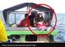 Camnews