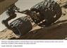 Camnews