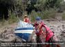 Camnews