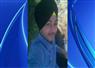 Camnews