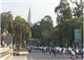 Camnews
