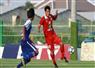 Camnews