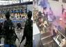 Camnews