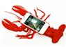 Camnews
