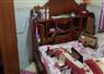 Camnews