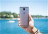 Camnews