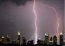 Camnews