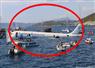 Camnews