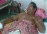 Camnews