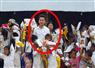 Camnews